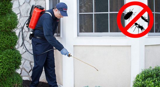 Uluborlu Böcek İlaçlama böcek ilaçlama ve haşere kontrolü — ilaclama-tr.com